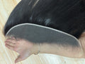 13x4 13x6 Ear To Ear Transparent Frontal Lace Only Straight 2x6 4x4 5x5 6x6 HD Lace Closure Human Hair 100% Brazilian Hair Quality Soft Silky Pre Plucked Bleached Knots Natural Hairline Virgin Hair Pieces For Women Daily Hair