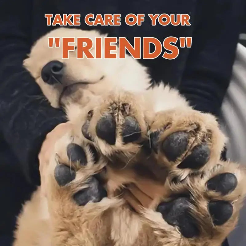 S9a3f6b03370f416da4183c45bf365ca9A