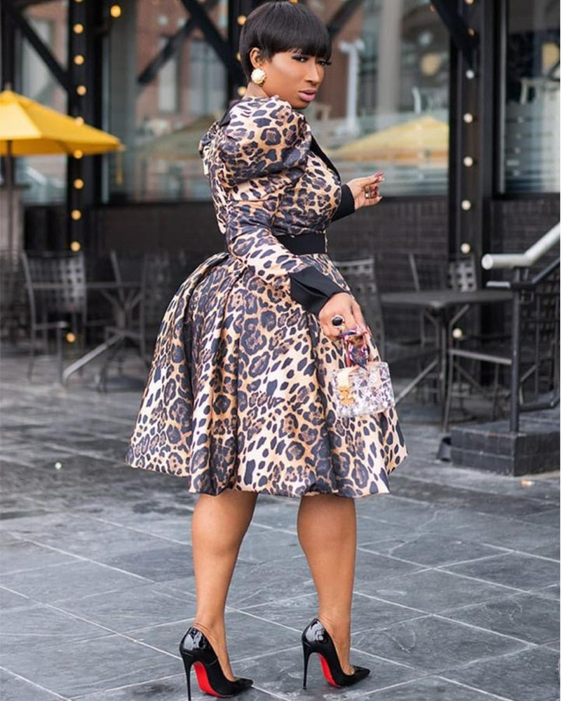 Women Leopard Print Dresses Fashion Casual Long Sleeve V Neck Long Sleeve Elegant A-line Dress Temperament Ladies Office Dresses