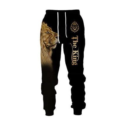 3D Printed Men' s Sweatshirt Hoodies Set Men Tracksuit/Pullover/Jacket/Pants Sportswear Autumn Winter Male Suit