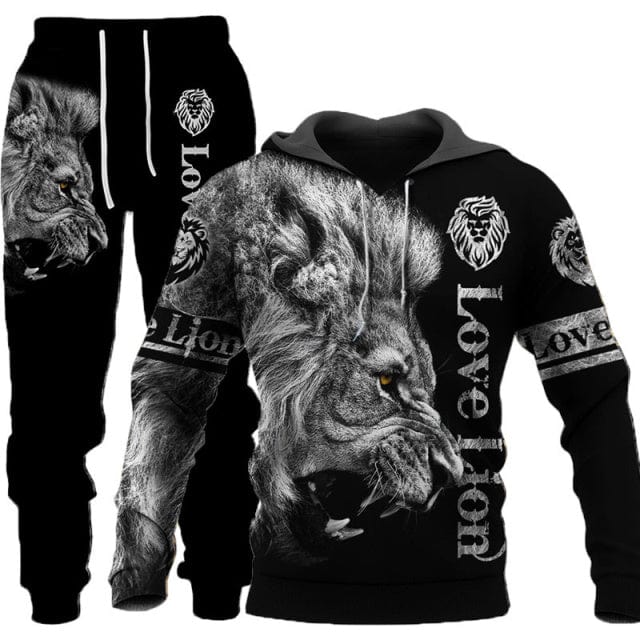 3D Printed Men' s Sweatshirt Hoodies Set Men Tracksuit/Pullover/Jacket/Pants Sportswear Autumn Winter Male Suit