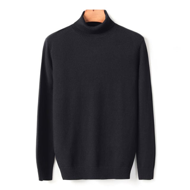 New Autumn Winter Men's Warm Turtleneck Sweater High Quality Fashion Casual Comfortable Pullover Thick Sweater Male Brand