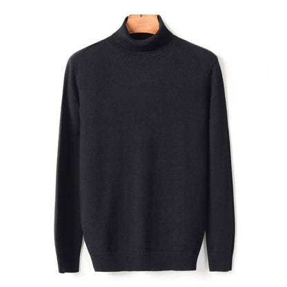 New Autumn Winter Men's Warm Turtleneck Sweater High Quality Fashion Casual Comfortable Pullover Thick Sweater Male Brand