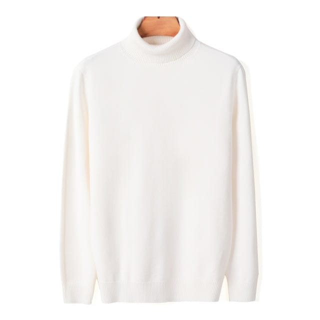 New Autumn Winter Men's Warm Turtleneck Sweater High Quality Fashion Casual Comfortable Pullover Thick Sweater Male Brand