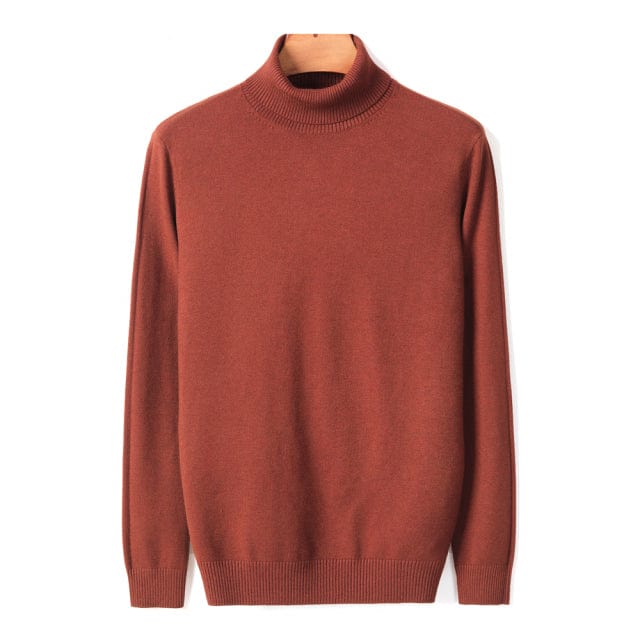 New Autumn Winter Men's Warm Turtleneck Sweater High Quality Fashion Casual Comfortable Pullover Thick Sweater Male Brand