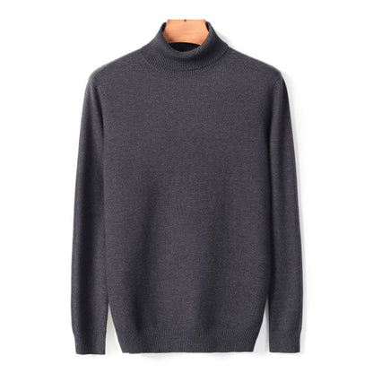 New Autumn Winter Men's Warm Turtleneck Sweater High Quality Fashion Casual Comfortable Pullover Thick Sweater Male Brand