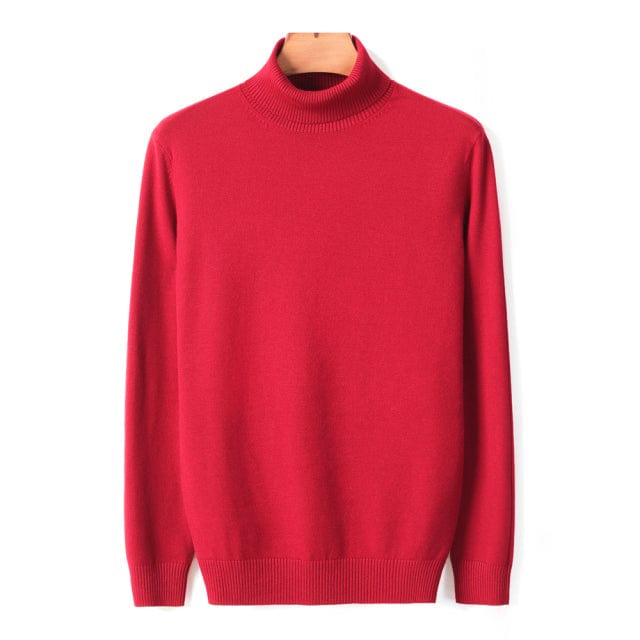 New Autumn Winter Men's Warm Turtleneck Sweater High Quality Fashion Casual Comfortable Pullover Thick Sweater Male Brand