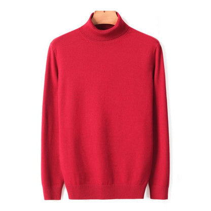 New Autumn Winter Men's Warm Turtleneck Sweater High Quality Fashion Casual Comfortable Pullover Thick Sweater Male Brand