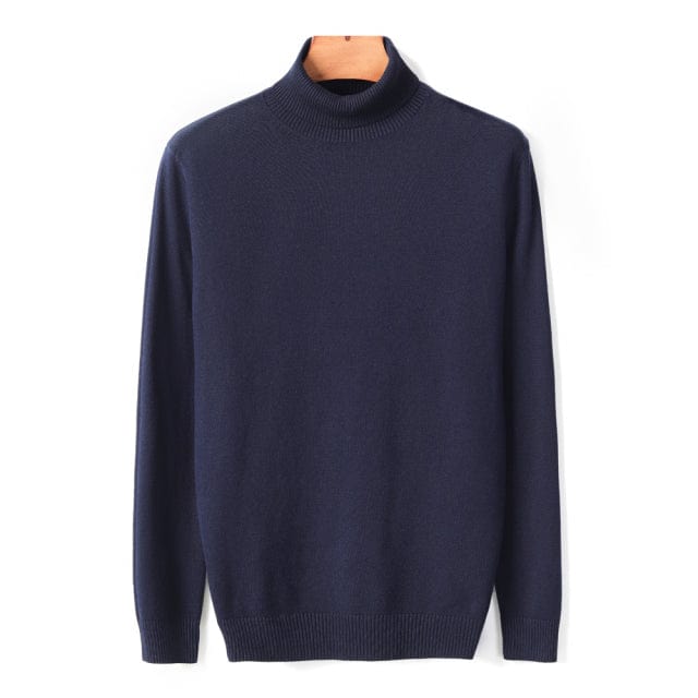 New Autumn Winter Men's Warm Turtleneck Sweater High Quality Fashion Casual Comfortable Pullover Thick Sweater Male Brand