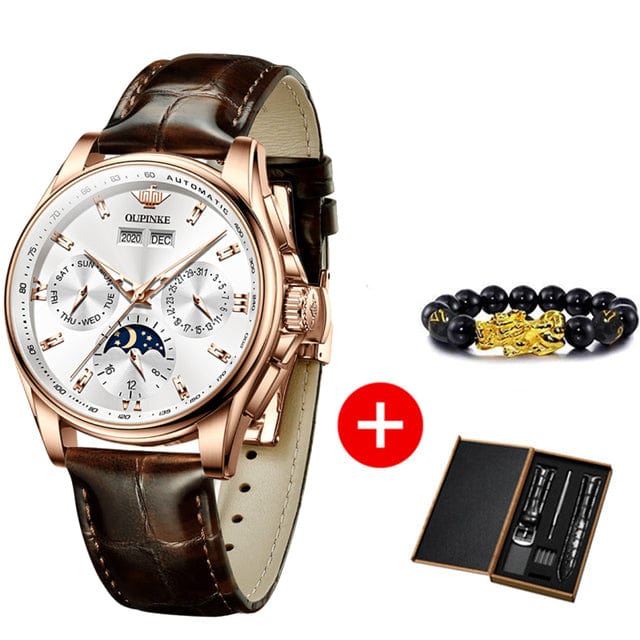 OUPINKE Men luxury watch For Man men&#39;s Top Brand Mechanical Wrist Watches Sapphire Glass Waterproof Automatic Watch Men Gift Set