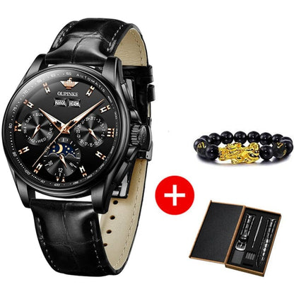 OUPINKE Men luxury watch For Man men's Top Brand Mechanical Wrist Watches Sapphire Glass Waterproof Automatic Watch Men Gift Set